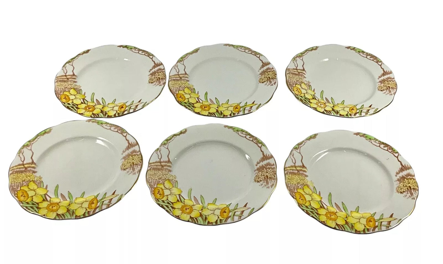 VINTAGE BELL SPRINGMORN 20 PIECE TEA SET SH27